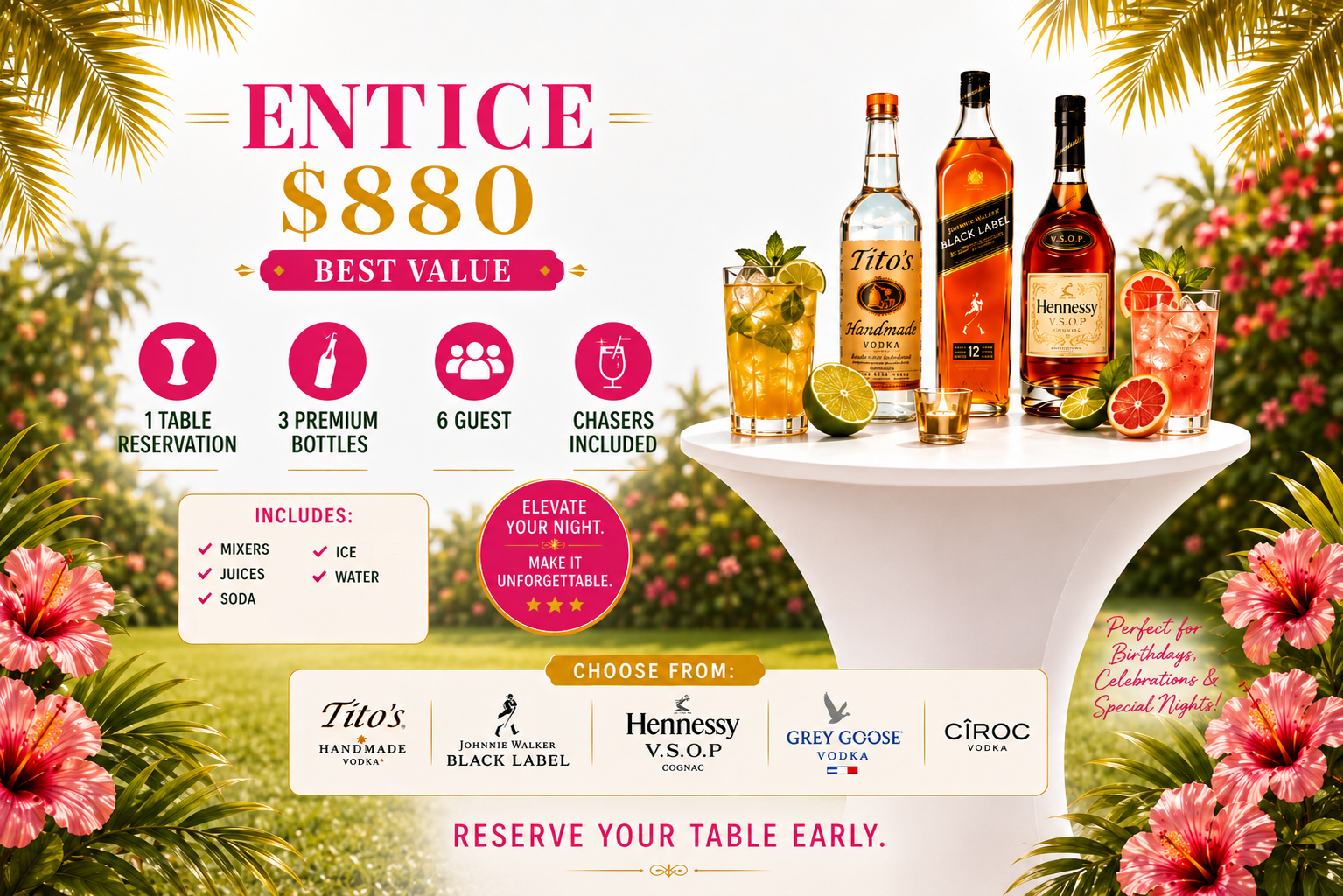 Entice package flyer